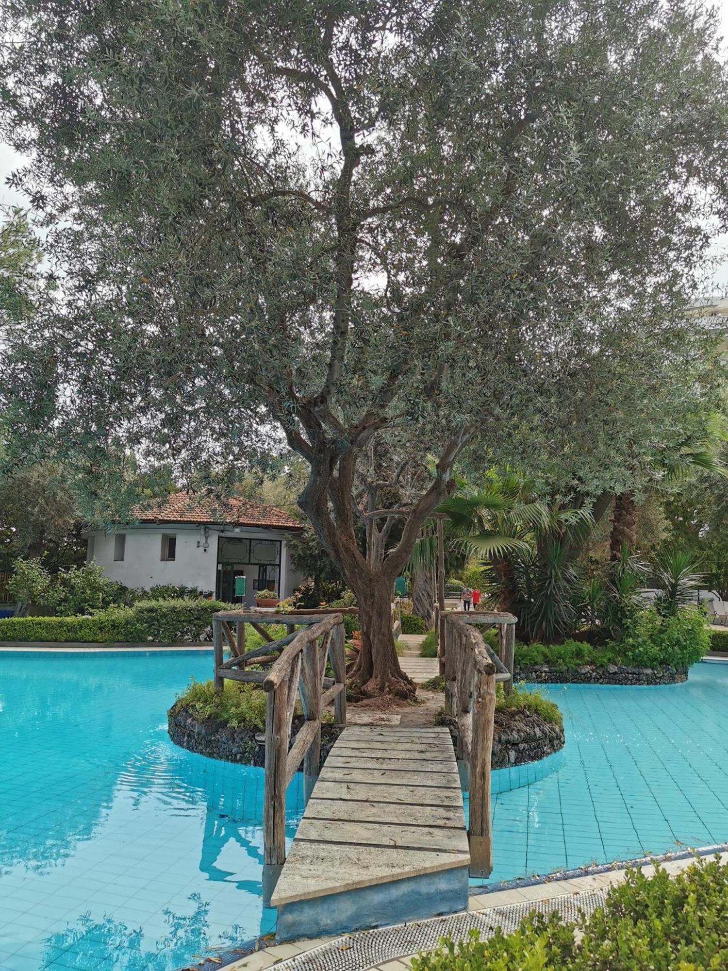 Casa Mar - Elegant Apartment With Pool And Panoramic Terrace In The Heart Of Sorrent Exterior foto